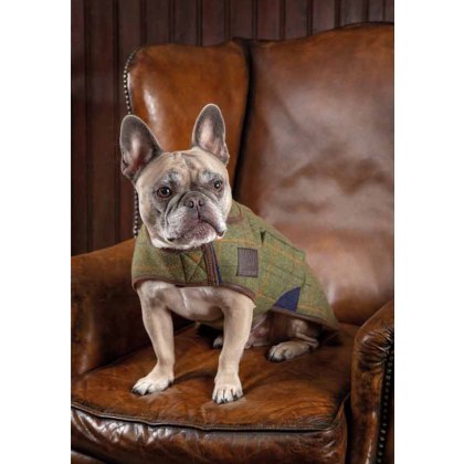 Shires Digby & Fox Tweed Dog Coat