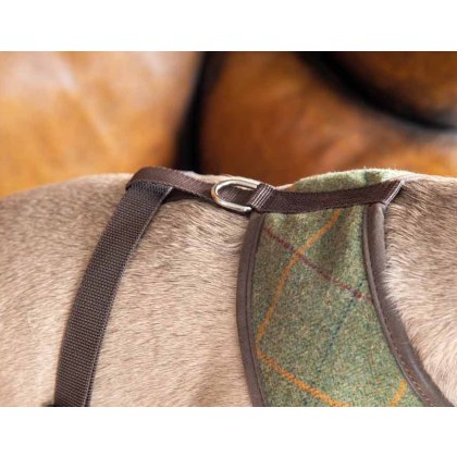 Shires Digby & Fox Tweed Dog Harness