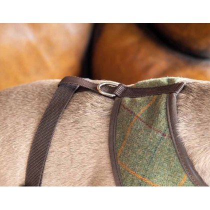 Shires Digby & Fox Tweed Dog Harness
