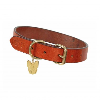 Shires Digby & Fox Flat Leather Dog Collar