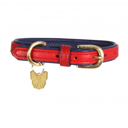 Shires Digby & Fox Leather Padded Dog Collar