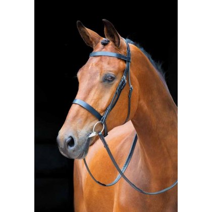 Shires Salisbury Berrington Bridle