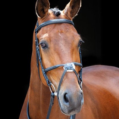 Shires Salisbury Brackley Bridle