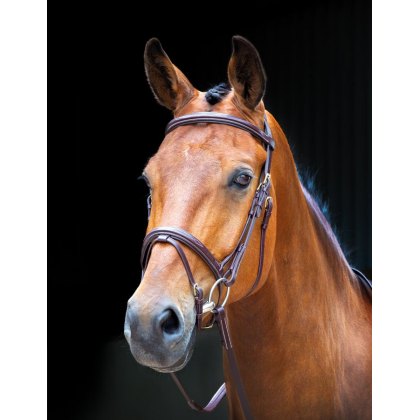 Shires Salisbury Bodenham Bridle