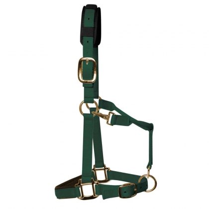 KM Elite Padded Headcollar