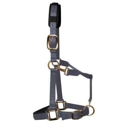 KM Elite Padded Headcollar