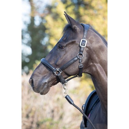 LeMieux Anatomic Leather Headcollar Black