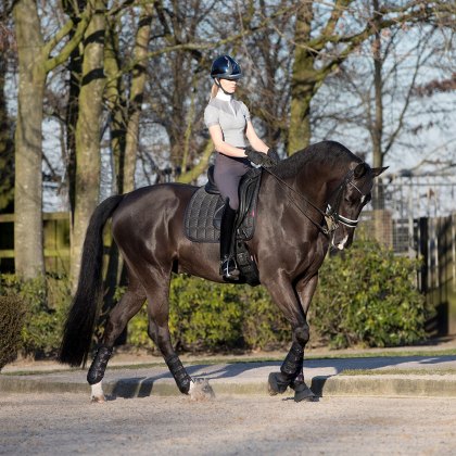 LeMieux Carbon Mesh Air Dressage Square Black