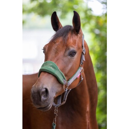 LeMieux Vogue Fleece Headcollar & Leadrope Hunter Green