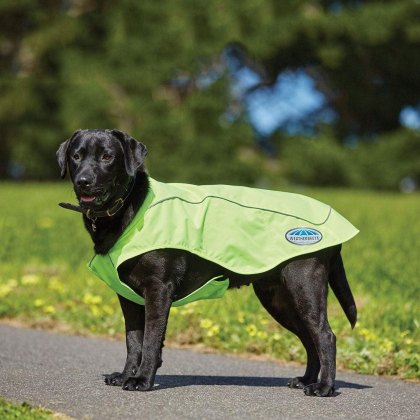 WeatherBeeta Reflective Exercise Dog Coat