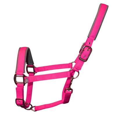 Woof Wear Contour Head Collar Berry