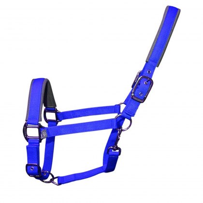Woof Wear Contour Head Collar Electric Blue