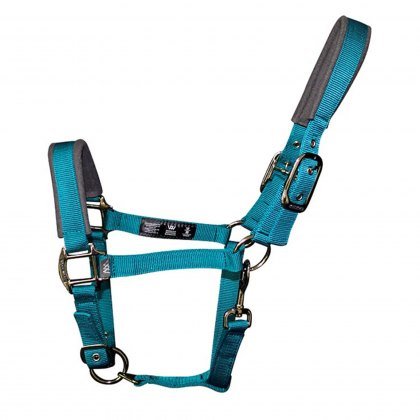 Woof Wear Contour Head Collar Ocean