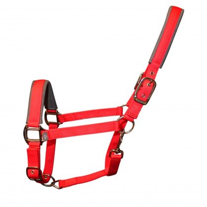 Woof Wear Contour Head Collar Royal Red