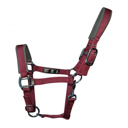 Woof Wear Contour Head Collar Shiraz