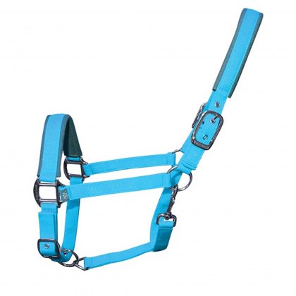 Woof Wear Contour Head Collar Turquoise