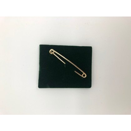 Racesafe Stock Pins