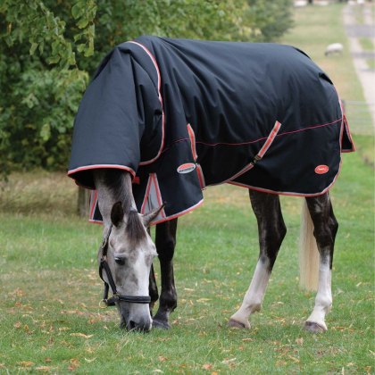 WeatherBeeta ComFiTec Premier Therapy-Tec Detach-A-Neck Turnout Rug Lite Plus Black/Silver/Red