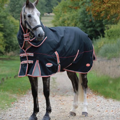 WeatherBeeta ComFiTec Premier Therapy-Tec Detach-A-Neck Turnout Rug Lite Plus Black/Silver/Red