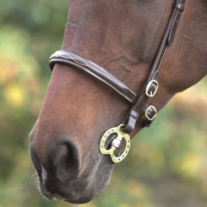 Gara Fancy Stitched In Hand Bridle