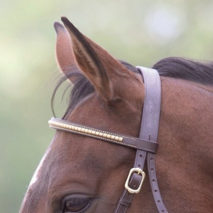 Gara Clincher In Hand Bridle