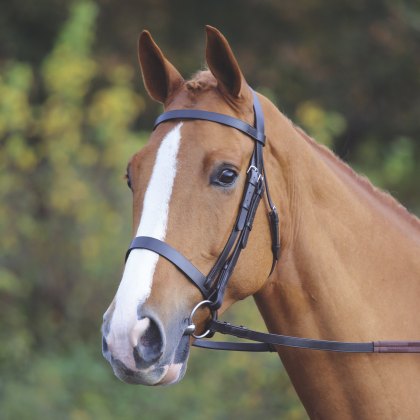 Gara Plain Bridle  