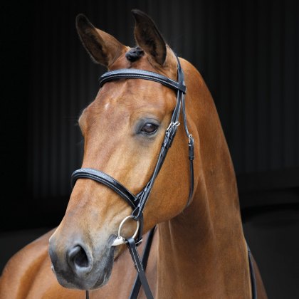 Shires Salisbury Fairford Bridle