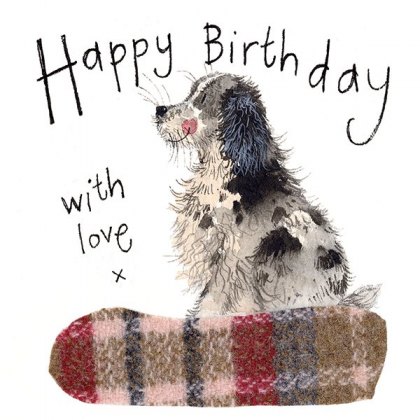 Alex Clark Spaniel Birthday Card