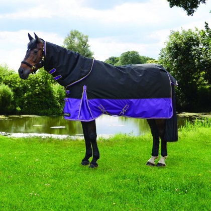 StormX Original 200 Turnout Rug With Detachable Neck Cover