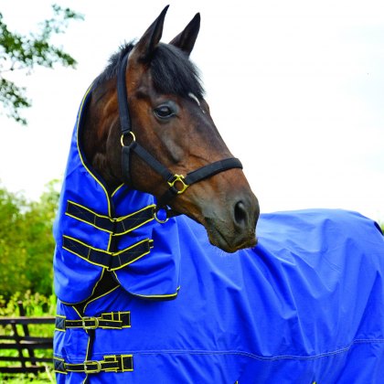 StormX Original 100 Combi Turnout Rug