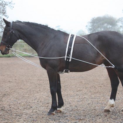 Shires Lunging Aid