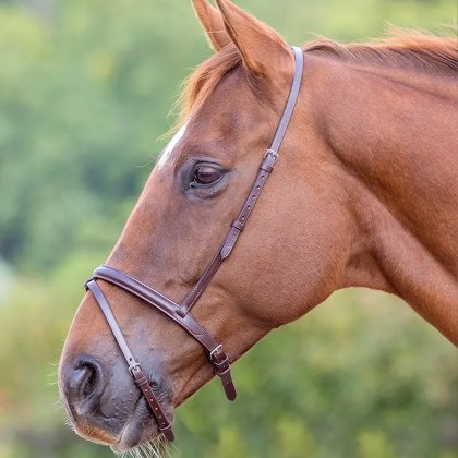 Gara Flash Noseband  