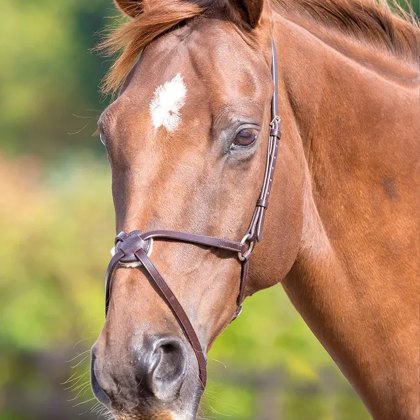 Gara Mexican Noseband  