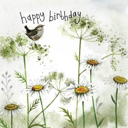 Alex Clark Starlight Wren & Daisies Birthday Card