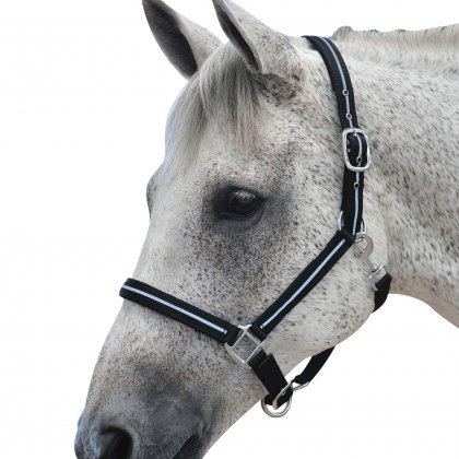 Roma Reflective Headcollar