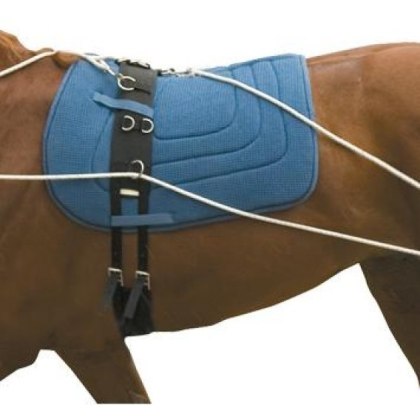 Kincade Lunging Training System