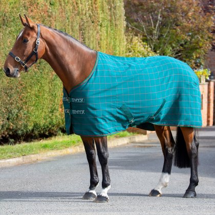 Shires Tempest Original Stable Sheet Green Check