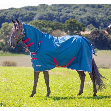 6'0" Shires Winter Typhoon 300 Combo Turnout Rug Navy/Red Trim 