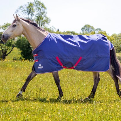 Shires Tempest Original Air Motion Turnout Rug  