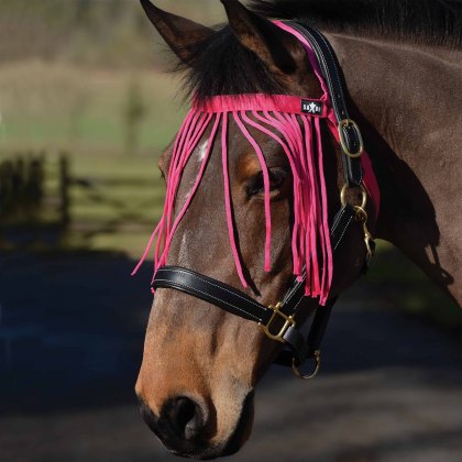 Saxon Fly Fringe Hot Pink