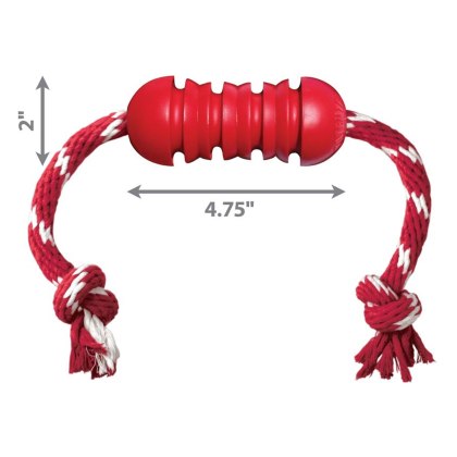 KONG Dental With Rope