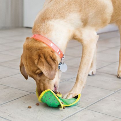 KONG Ballistic Hide n Treat