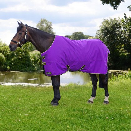 StormX Original 50 Turnout Rug