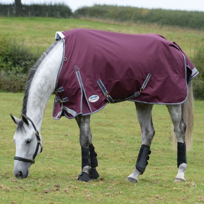 WeatherBeeta ComFiTec Plus Dynamic II Standard Neck Medium/Lite Maroon Turnout Rug