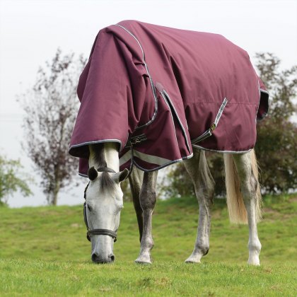 WeatherBeeta ComFiTec Plus Dynamic II Detach a Neck Lite Maroon Turnout Rug