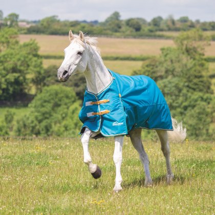 Shires Highlander Original Lite Turnout Rug Teal