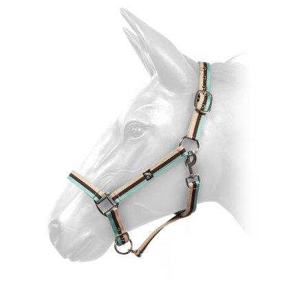 Whitaker Harvey Headcollar