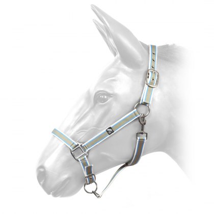 Whitaker Harvey Headcollar