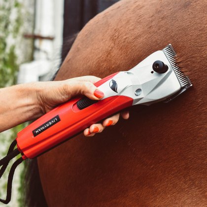 Liveryman Black Beauty Mains Clipper 