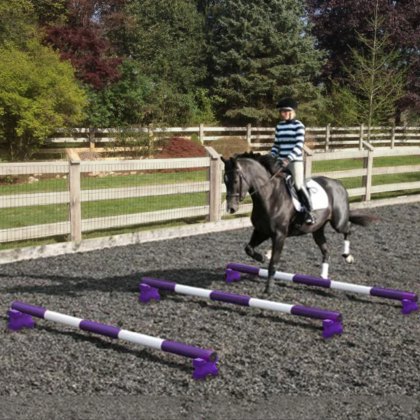 PolyJumps Mini Blocks & 5 Band Poles | Purple Combo Set